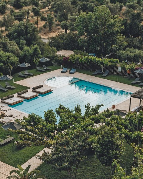 Hotel Maxine 16