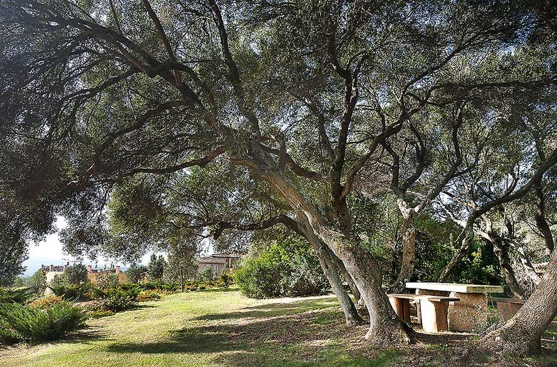 Parco Degli Ulivi 16