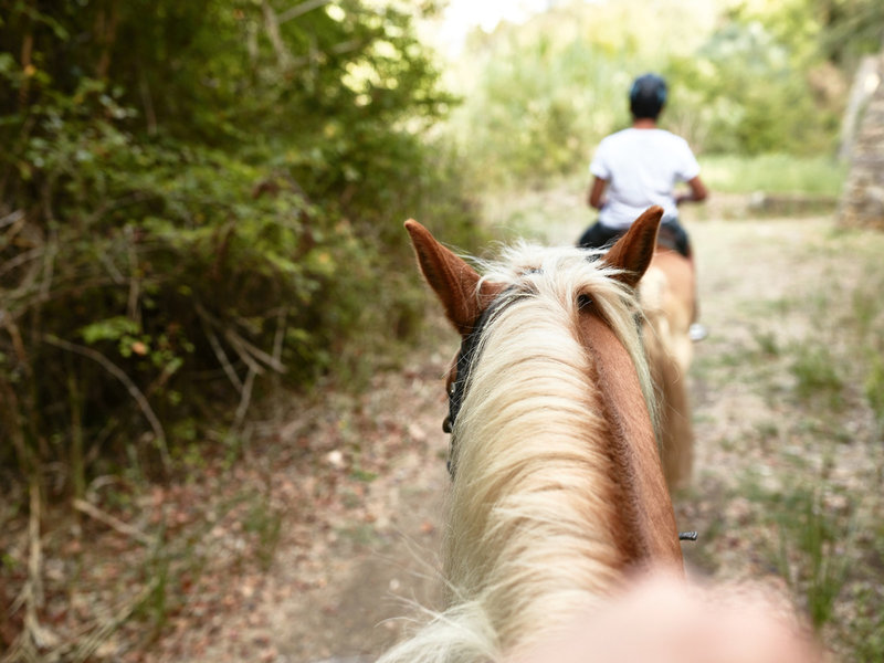 Grecotel Ilia Palms & Aqua Park 18