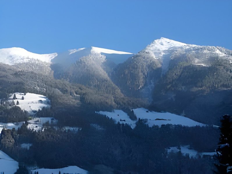 Edelweiss 4