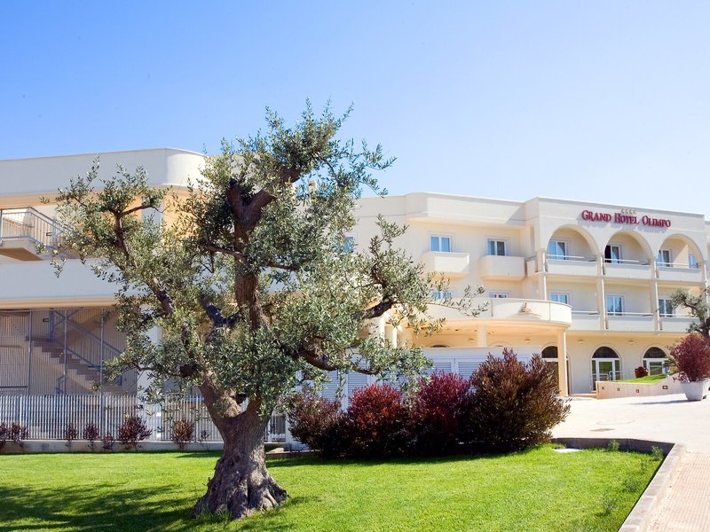 Grand Hotel Olimpo  2