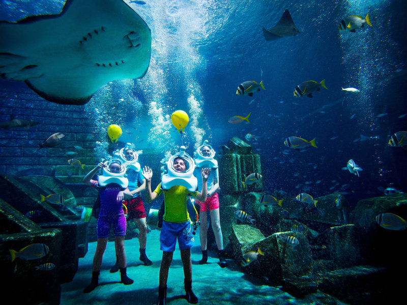Atlantis - The Palm 44