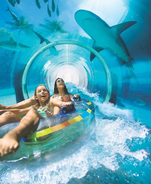 Atlantis - The Palm 15 - Sports and leisure