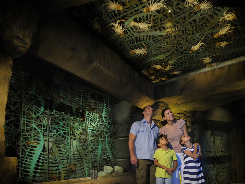 Atlantis - The Palm 43 - Sports and leisure