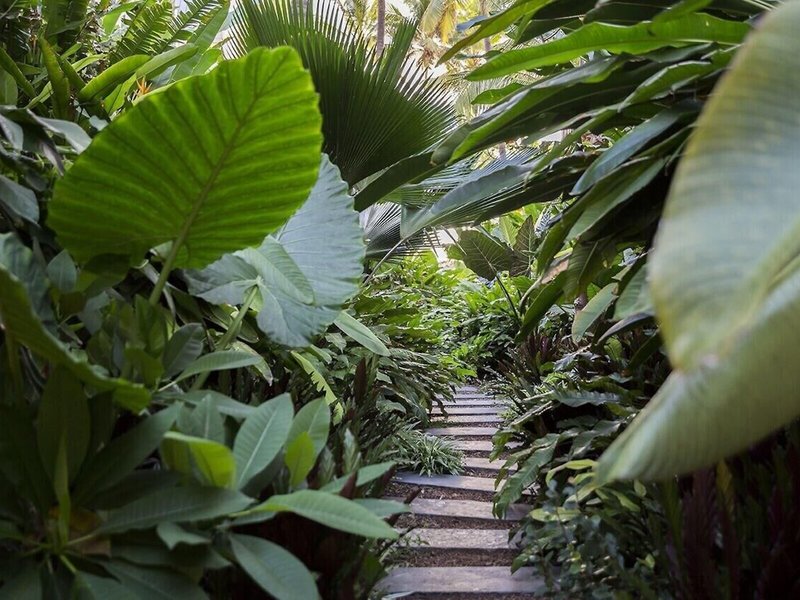 Hôtel Résidence Ness by D-Ocean 9