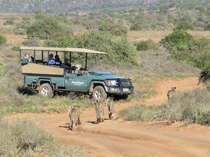 Amakhala Game Reserve - Woodbury Lodge 3
