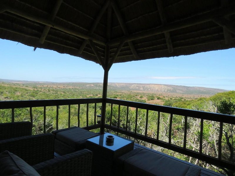 Amakhala Game Reserve - Woodbury Lodge 5
