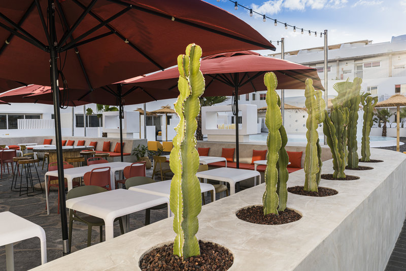 Buendia Corralejo Nohotel 15