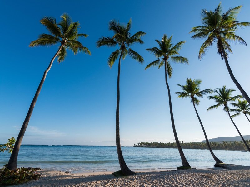 Grand Paradise Samana 5