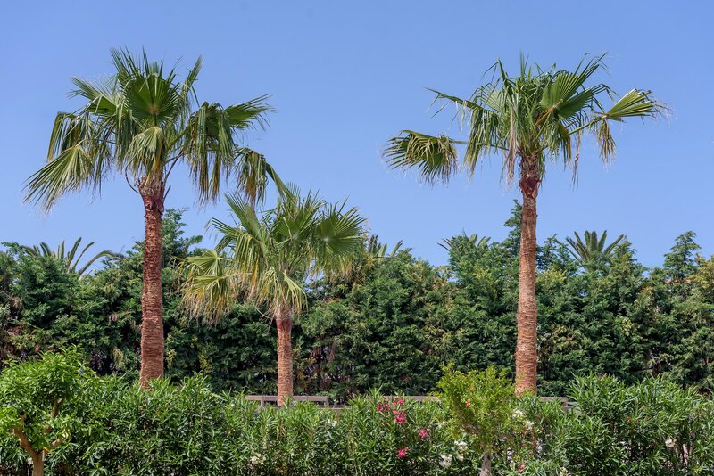 Rethymno Residence Hotel & Suites 44