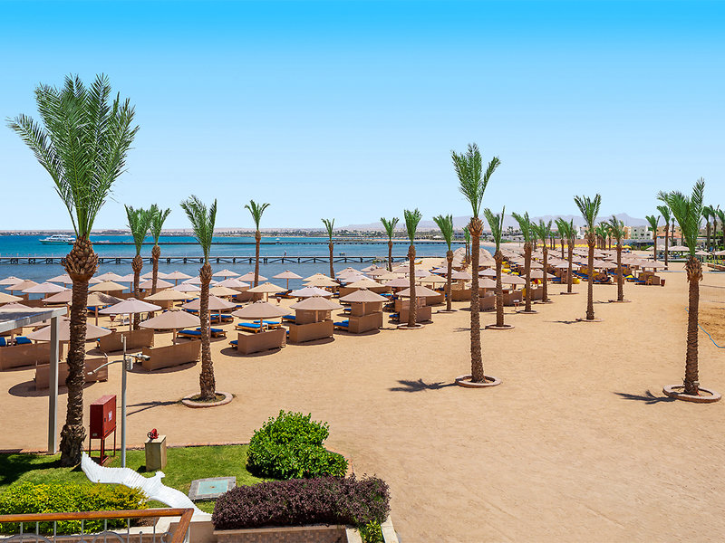 Albatros Palace Resort 7