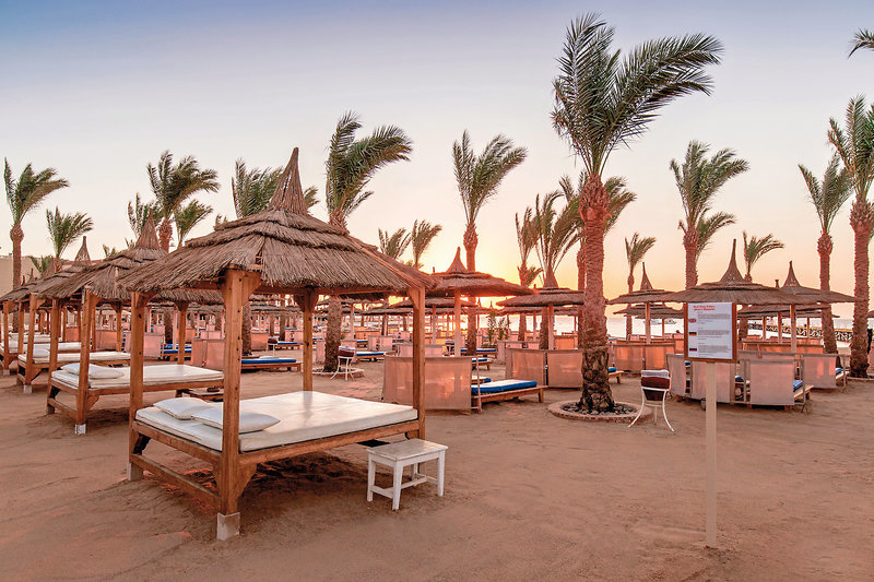 Albatros Palace Resort 10