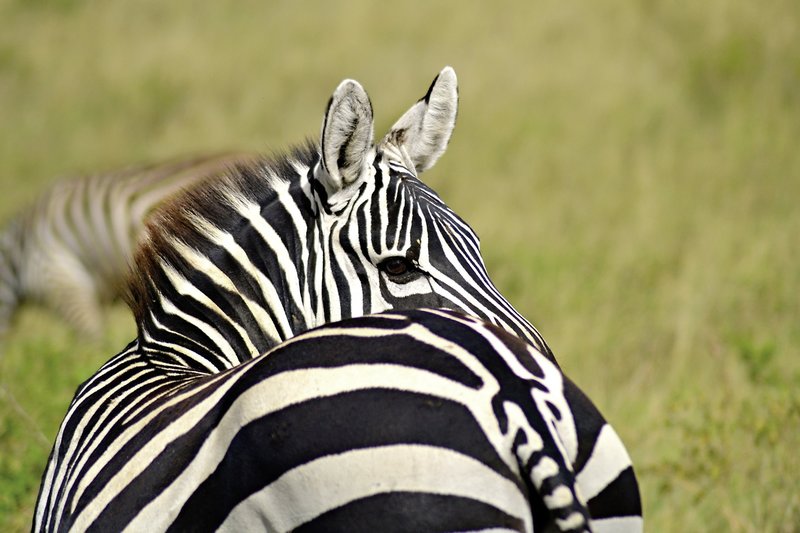 Tsavo Abenteuer 3