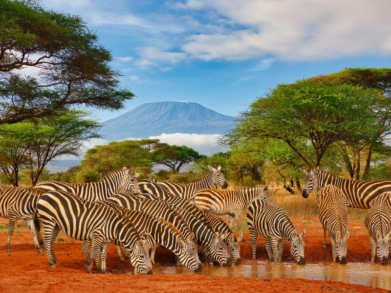 Rundreise Kenia - Severin Safari Camp 1