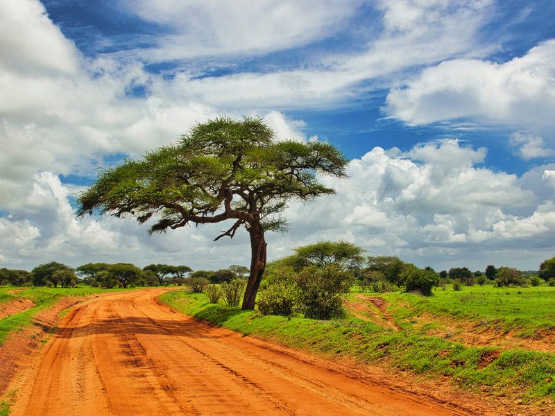 Rundreise Kenia - Severin Safari Camp 2