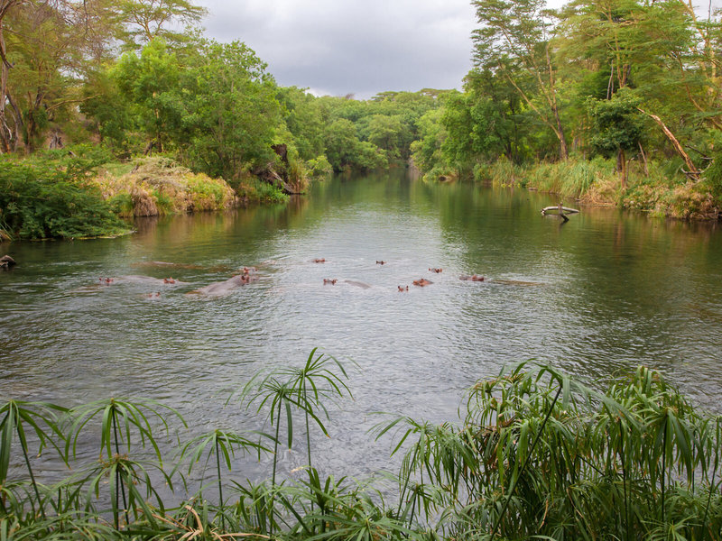 Rundreise Kenia - Severin Safari Camp 3