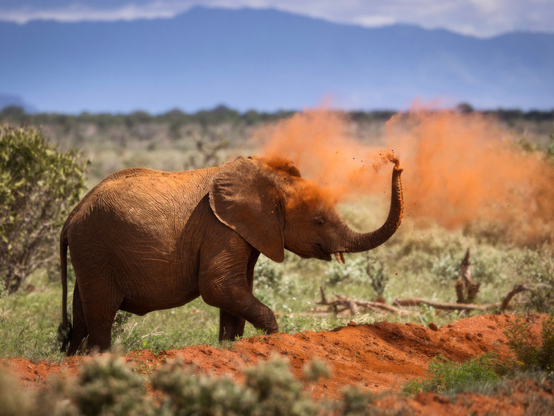 Rundreise Kenia - Severin Safari Camp 4