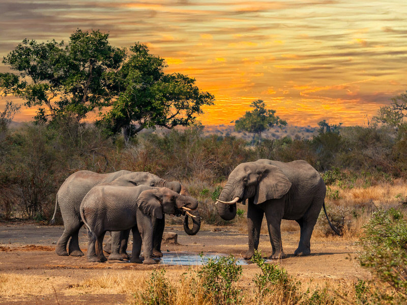 Rundreise Kenia - Severin Safari Camp 5