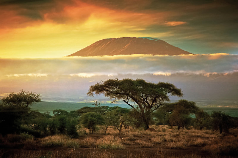 Tsavo & Amboseli 1