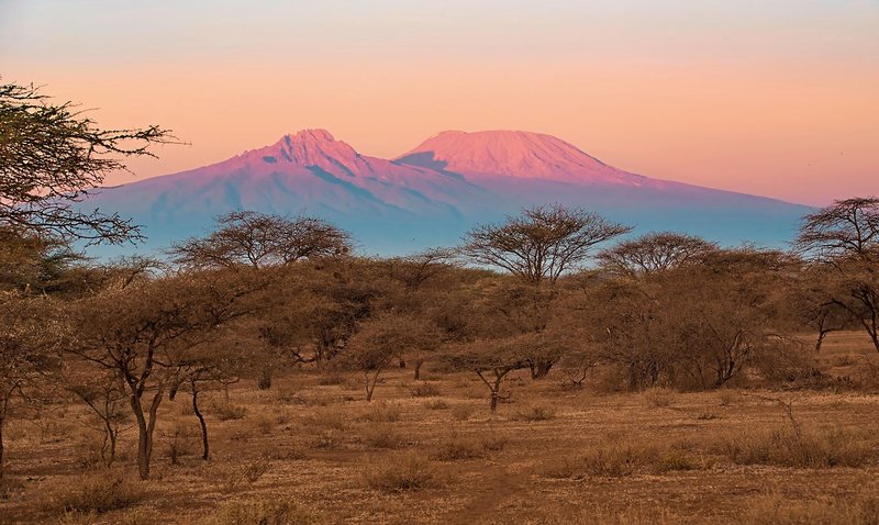 Tsavo & Amboseli 2