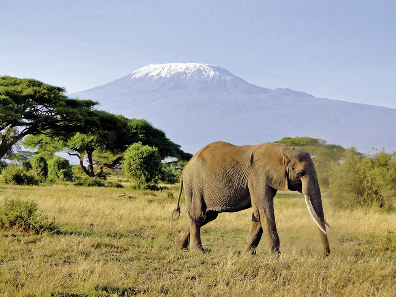 Tsavo & Amboseli 3