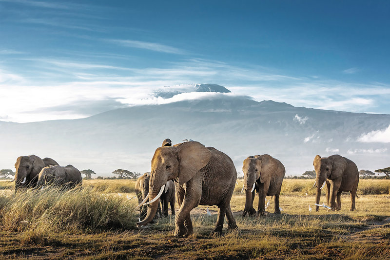 Kenia Allround 4