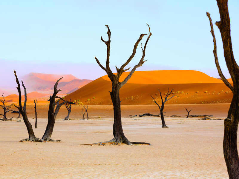 Rundreise Klassisches Namibia 1