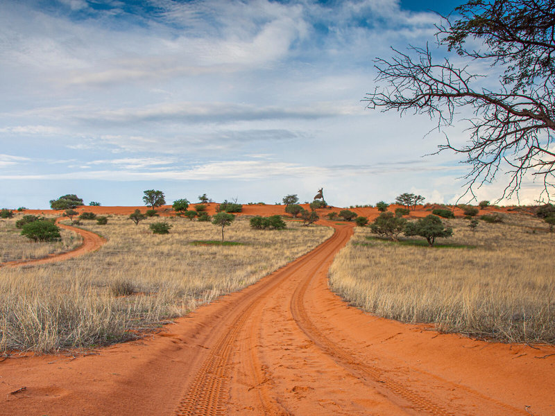 Rundreise Klassisches Namibia 2