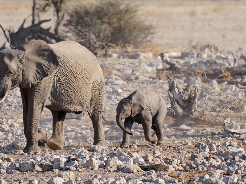 Rundreise Klassisches Namibia 5