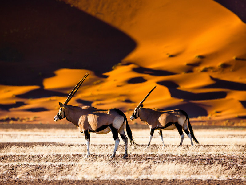 Rundreise Klassisches Namibia für Selbstfahrer 1